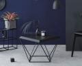 Журнальный столик в стиле Loft (столешница из дуба) R43-286
